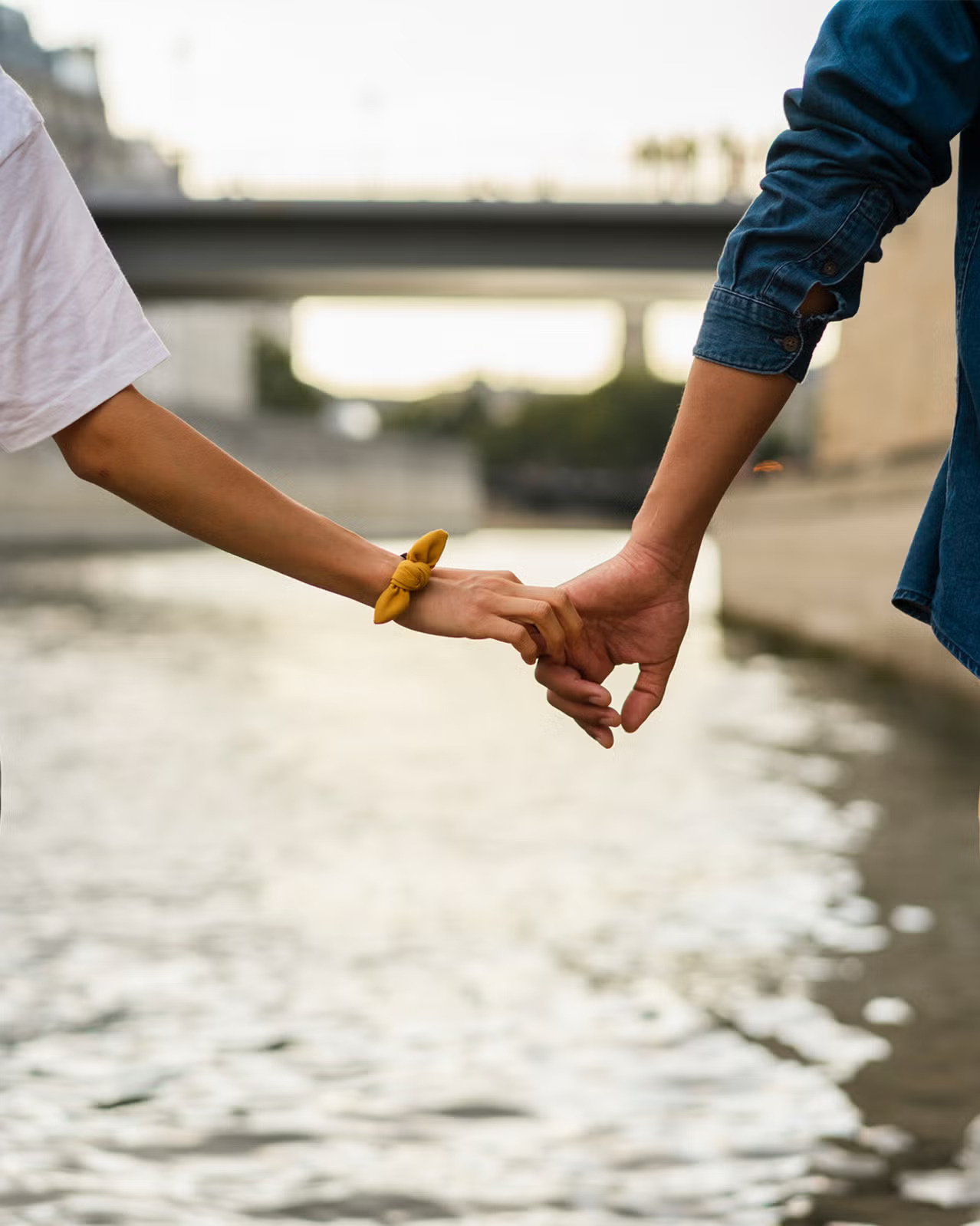 Descripción imagen 2